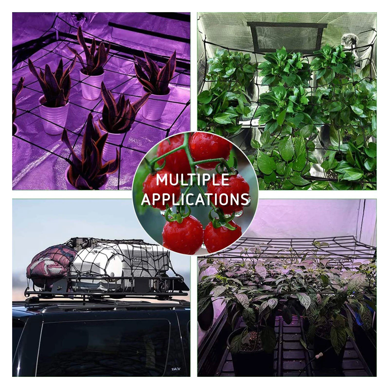 

Horticulture and Planting Supplies to Climb Gardening Flexible Trellis Elastic Netting Polyethylene Growing Tent