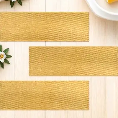 

3PCS Beehive Foundation Durable Plastic Honeycomb Sheet Nest Beeswax Base Practical Tool For Honey Production Ideal Accessories
