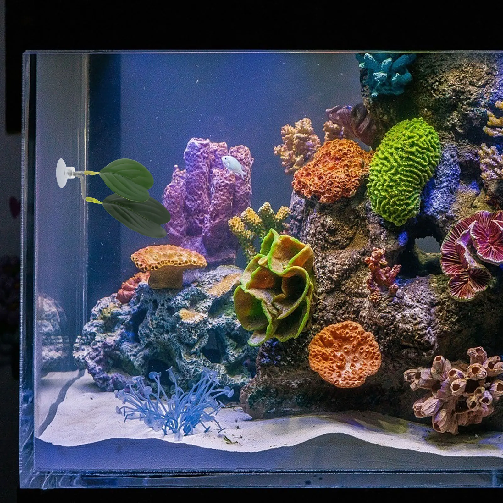 

Artificial Water Plants Betta Fish Leaf Pad Hammock Aquarium Decor Spawning Grounds Breeding Resting Bed PlasticWater Grass Fish