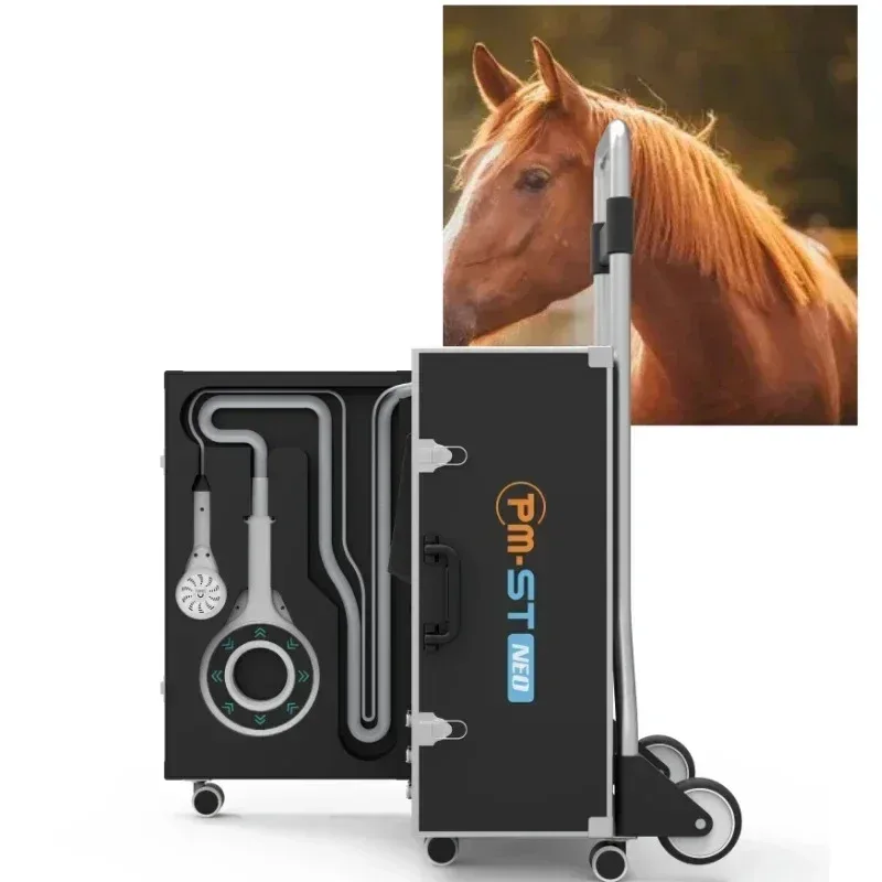 

PEMF For Horse Treatment Promoting Magneto Rehabilitating And Pain Relief Also For Vet