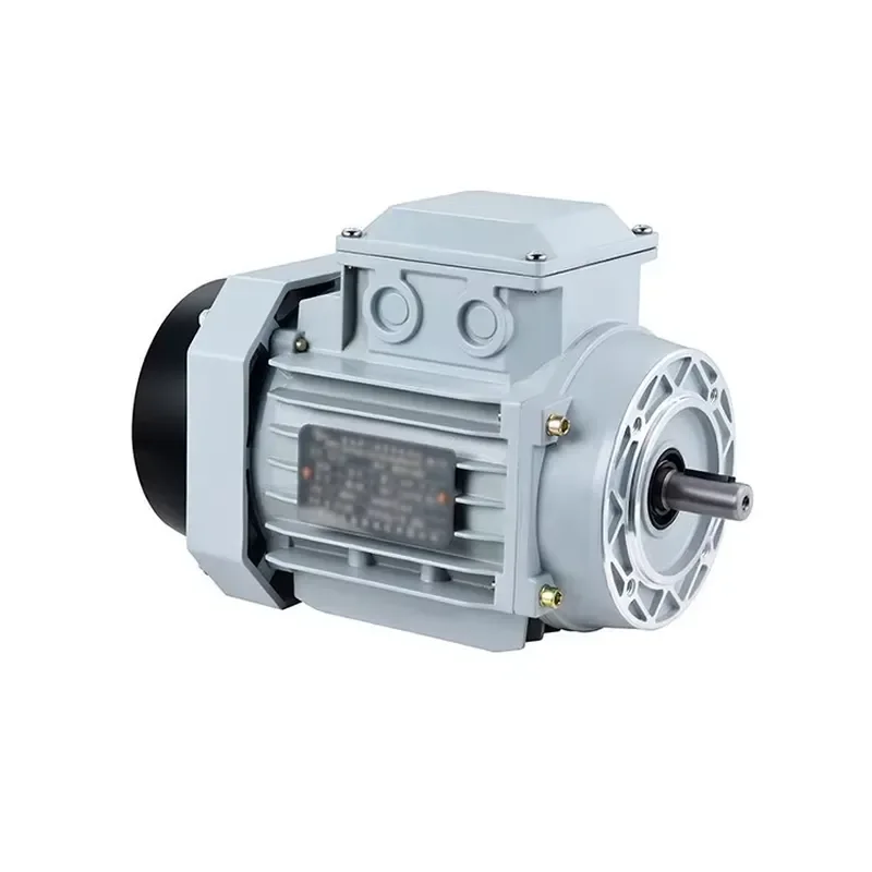 2026 HOT Lunyee 4KW Single-Phase Asynchronous AC Motor 220V 50Hz 1400rpm in Stock for General Drive Applications