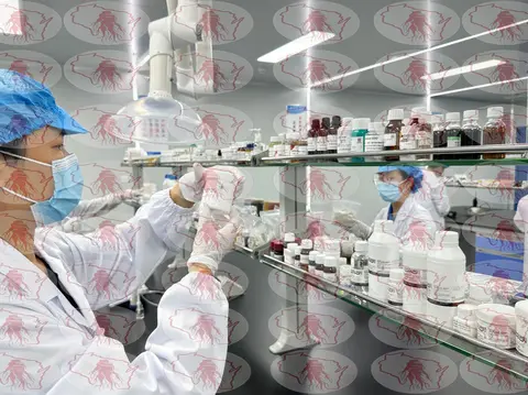 Cranberry Powder for Global Distributors Soap Making