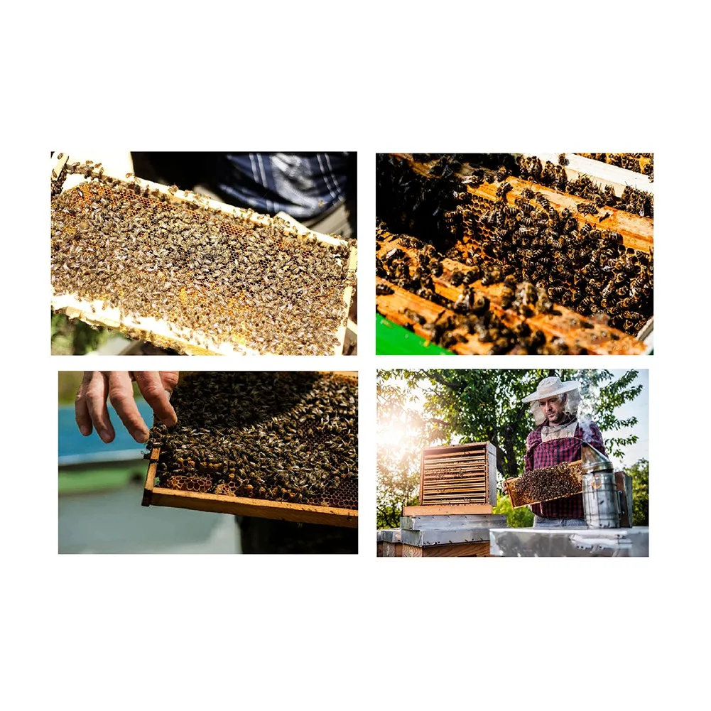 Apr.Bee Hive مدخل باب مضاد للفأرة، مخفض مدخل خلية النحل، بوابة سفر خلية النحل لوازم تربية النحل المضادة للهروب #1