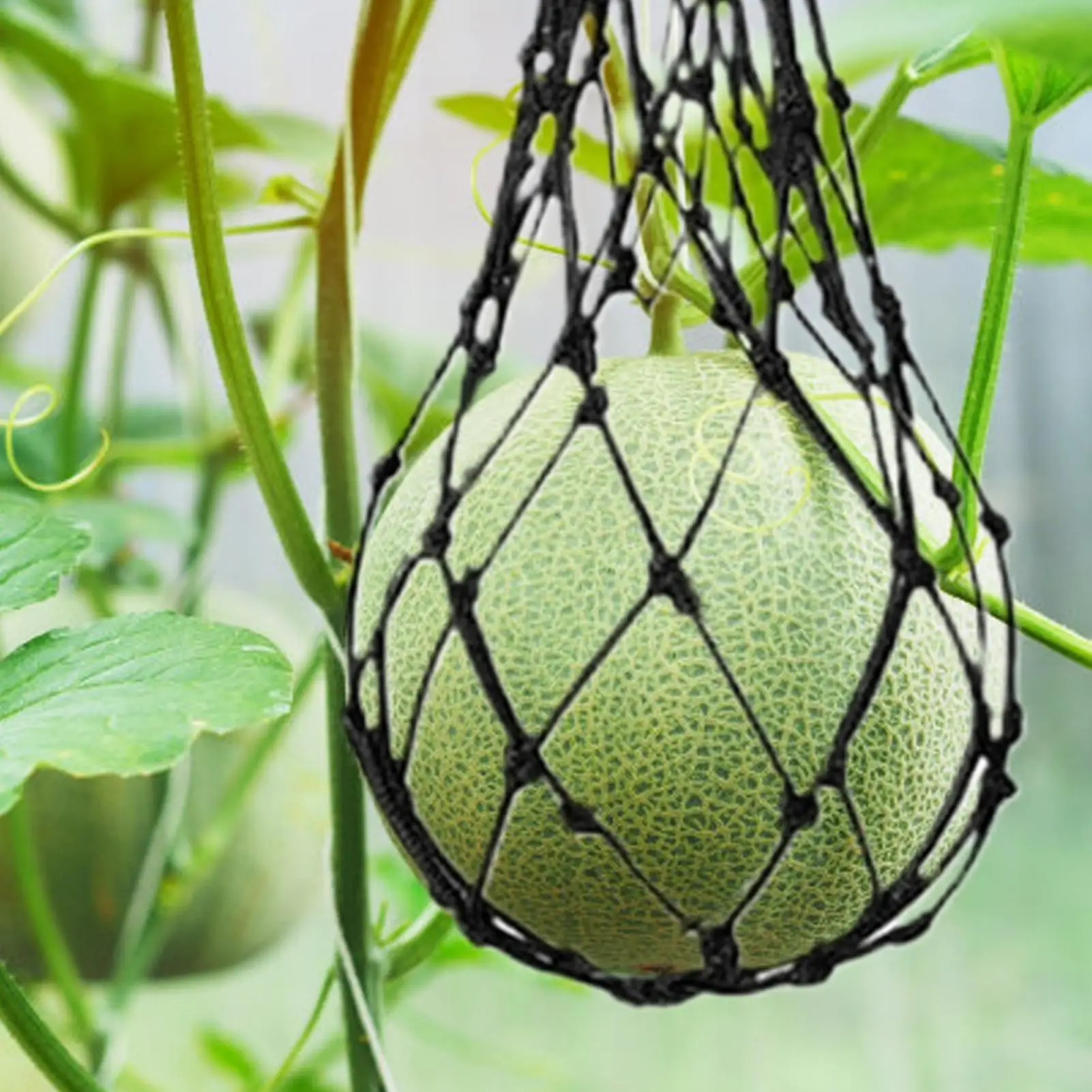 

Watermelon Hammock 10-Piece Fruit Hammock Pumpkin Net For Trellis Growing Vertical Growing Bag Netting For Garden Orchard Yard