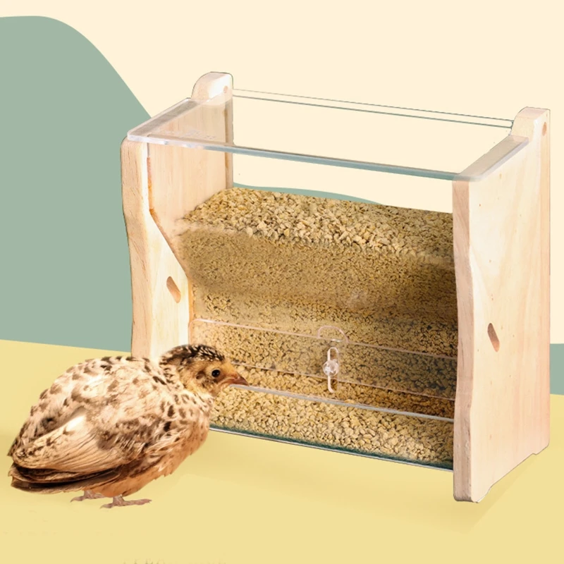 Parakeet Feeder Automatic Bird Dispenser Transparent Container for Cage No Mess Easy to Refill for Small Birds