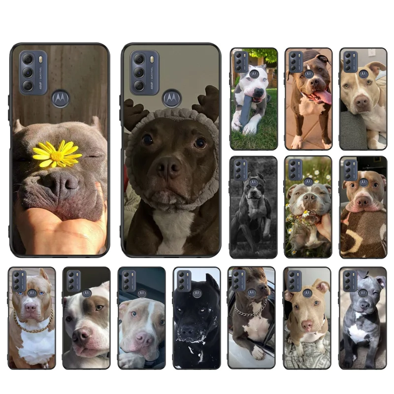 

Phone Case For Moto G85 G55 G05 G14 G75 G31 G50 G10 G20 G30 G60 G13 G32 G84 G54 G53 G72 G24 Power Pitbull Terrier Dog