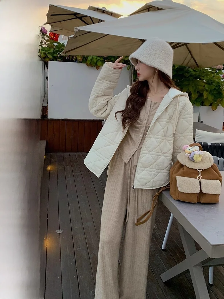 

Легкая стеганая хлопковая куртка, женская зимняя новинка, свободное пальто, теплое пальто с капюшоном на молнии, прямая трубка pe