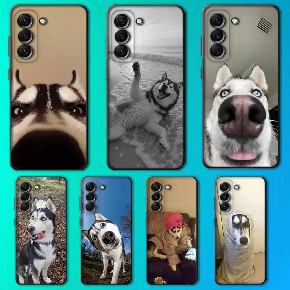 

Siberian Husky Dog Funny Phone Case For Samsung Galaxy A 73,72,51,53,52,71,22,5G,Note,J7,8,9 Soft Black Cover