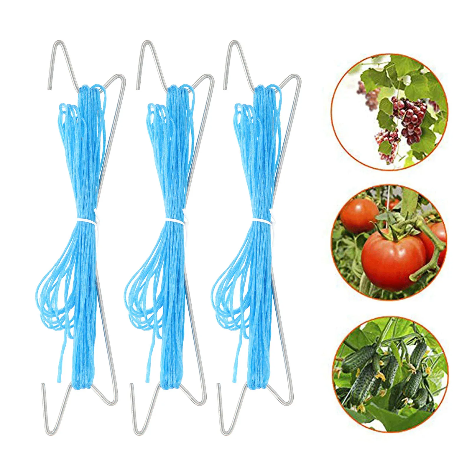 

10Pcs Tomato Support Hooks Iron Garden Plant Climbing Hooks With 10 Meters Twine Preventing Tomatoes From Pinching Or Falling