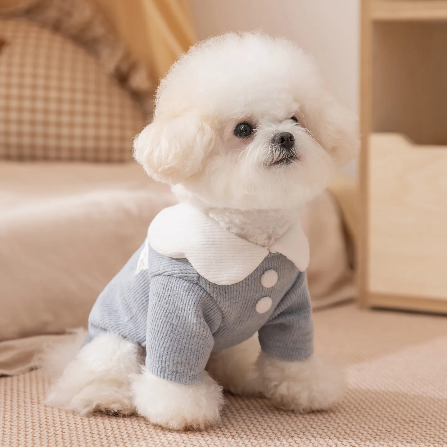 

Embroidered Teddy Small Bear Pet Bottoming Shirt Winter Warm Teddy Two-legged Clothes Maltese Casual Vest Cartoon Dog Clothes