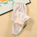 F29095K