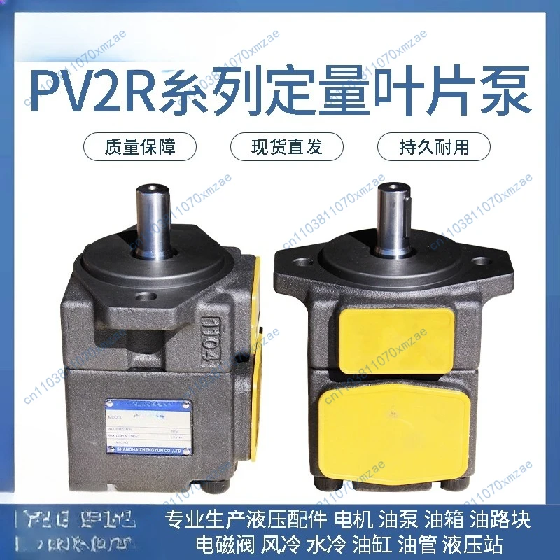 Pompe à palettes haute pression PV2R1-10 12 14 17 19 23 25 28 31, pompe à huile hydraulique, tête de pompe PV2R32