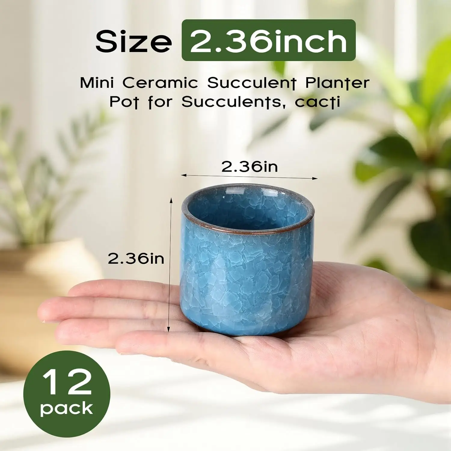 12 Pack 2.36 Inch Small Ceramic Succulent Planter Pot with Drainage Hole, Mini Ice Crack Glaze Flower Pots for Indoor Planters