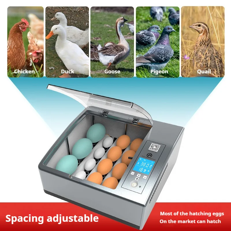 حاضنة بيض ذكية أوتوماتيكية بسعة 16/36 تستخدم آلة حضانة صغيرة للمنزل دجاج بطة أوزة حمامة تحول الاختيار