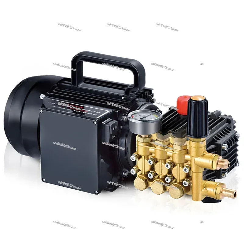 

Brass-plated QL-390 Triplex Plunger Pump, High-pressure Domestic Washer, Car Washing, 1.6-1.8 KW, 80-100bar, 10LPM.