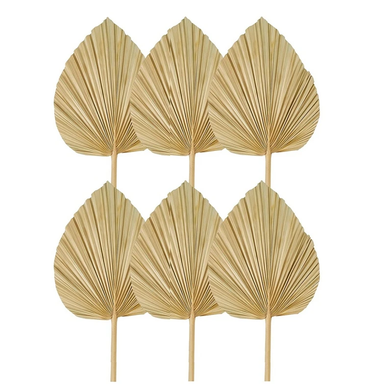 Nieuwe 6 STKS Gedroogde Palmbladeren Natuurlijke Gedroogde Palm Fans, Grote Palm Speer voor Boho Bruiloft Decor, Tropische Palmbladeren Decoratie S