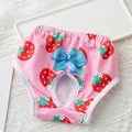 Red Strawberry