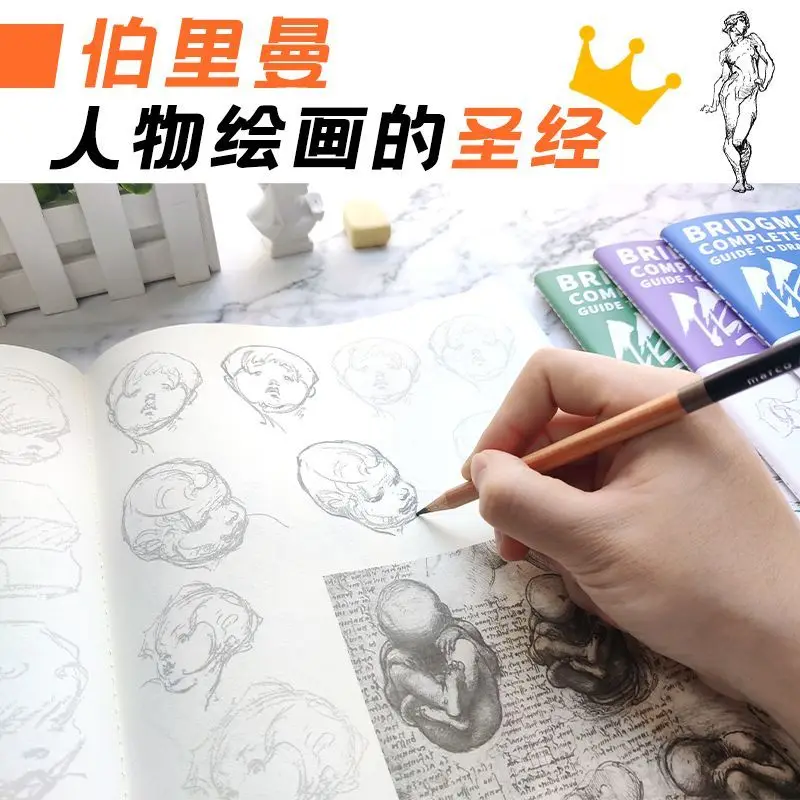 Bridgman's Complete Guide To Drawing From Life Tracing Sketch Hand Painted Tutorial Book Copy Practice Line Draft Practice Books