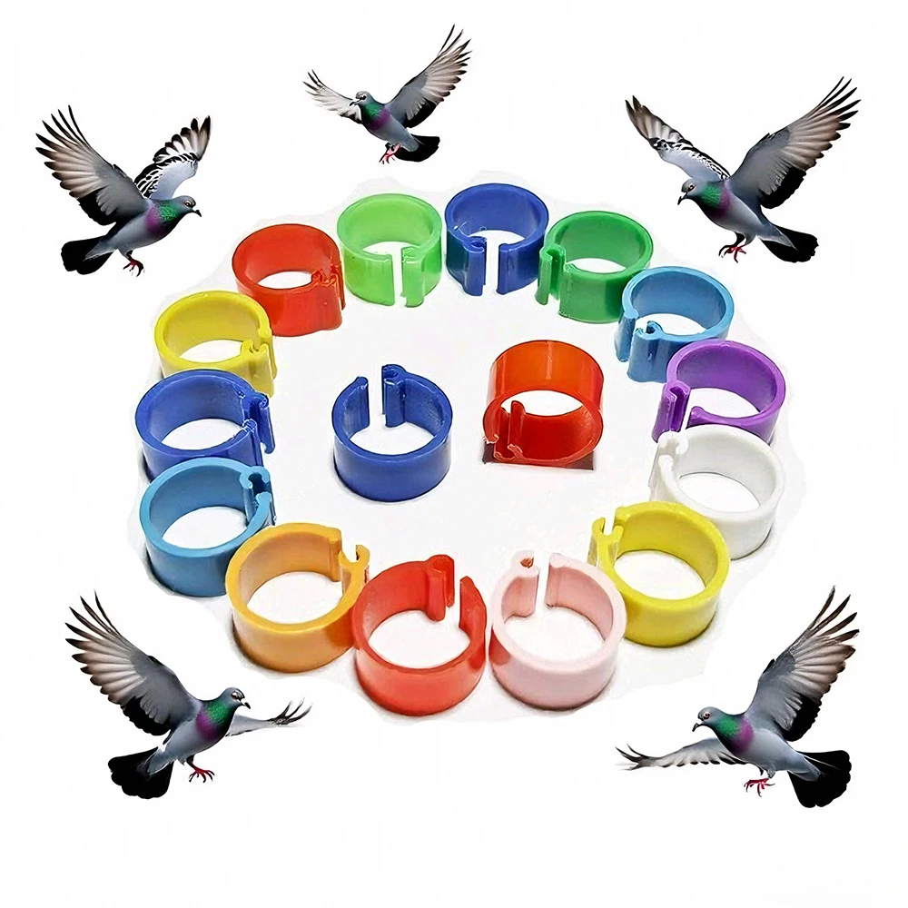 

100Pcs 10mm Birds Pigeon Foot Rings Small Poultry Foot Ring 10 Colors Plastic Dove Clip Quail Pigeon Foot Ring Pet Bird Supplies