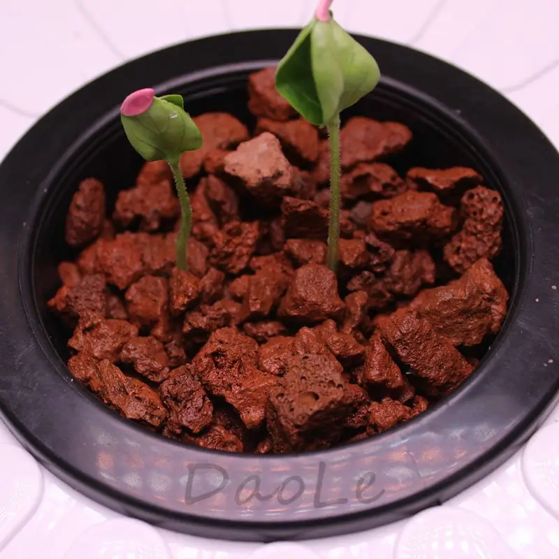 Imagem -02 - Cultivo sem Solo Flowerpot Caixa de Plantação Faça Você Mesmo Kits de Flores Hidropônicas Jardim Varanda Frutas Legumes