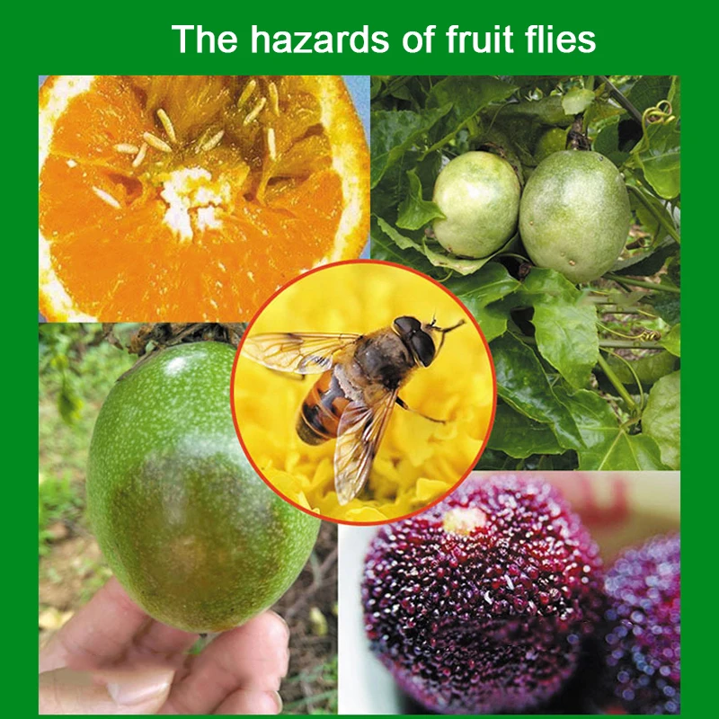 10pc Fruit Fly Attractant Trap Bait Beekeeping Beehive Tool Repellent Supplies