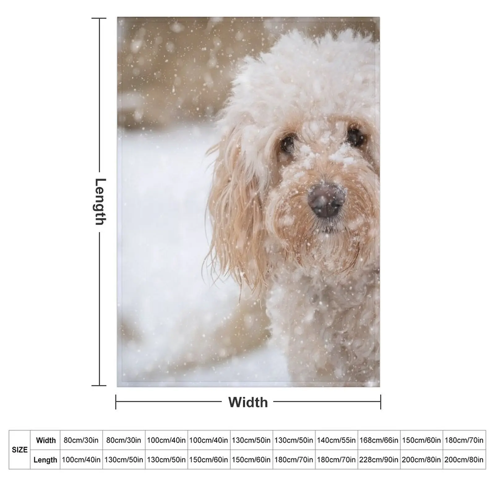 A beautiful Cockapoo in the snow Throw Blanket Cozy Sofa Blanket for TV Watching Napping