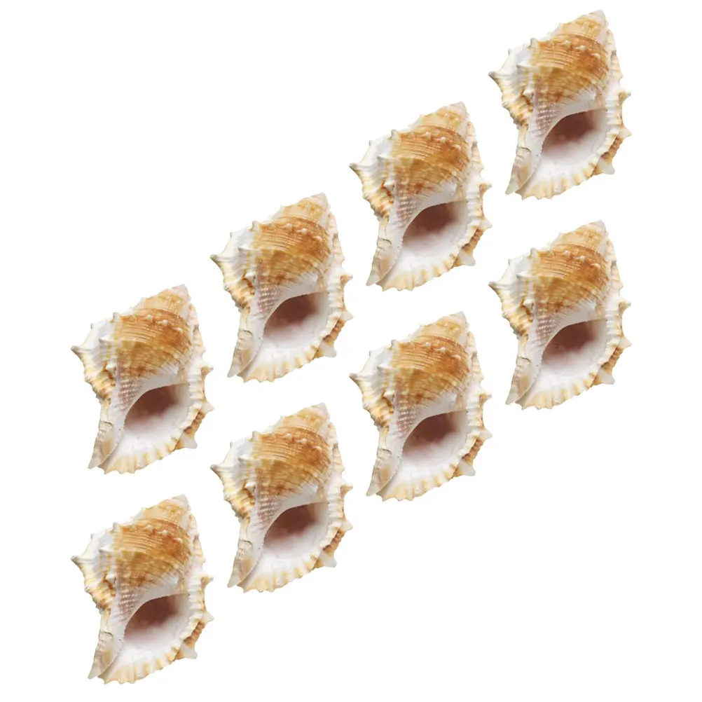 

8Pcs Aquarium Conch Decoration Natural Sea Shells Fish Tank Landscape Craft DIY Home Room Decor Aquarium Conch Decoration