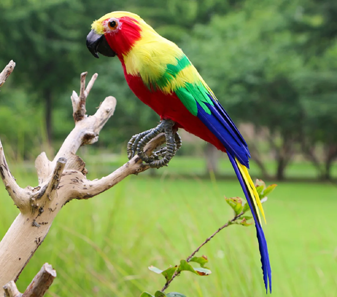 30cm Yellow & Red Simulation Parrot Model Toy Cute Foam And Feathers Bird Gift for All Ages