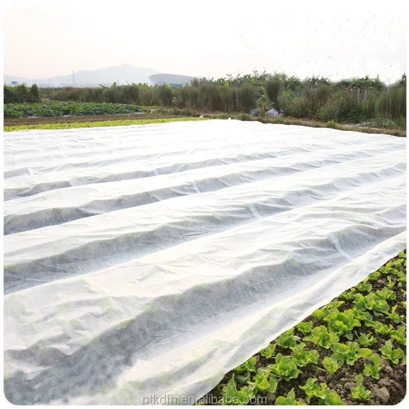 

2025Agriculture Cover pp Spunbond Non Woven