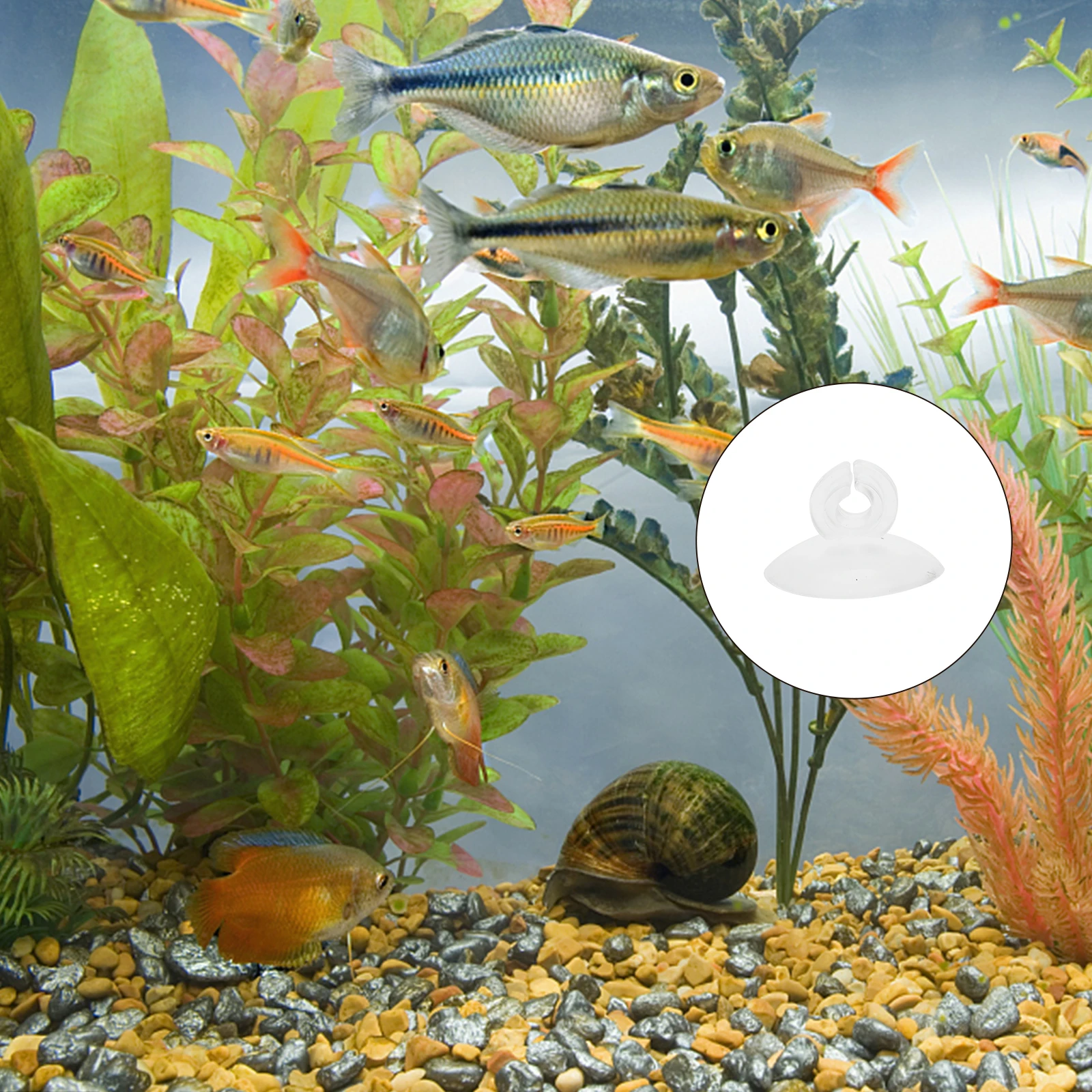 

25Pcs Aquarium Suction Cups Adjustable Airline Tube Holder Durable for Fish Farmers Shrimp Breeders Aquarium Suction Cups