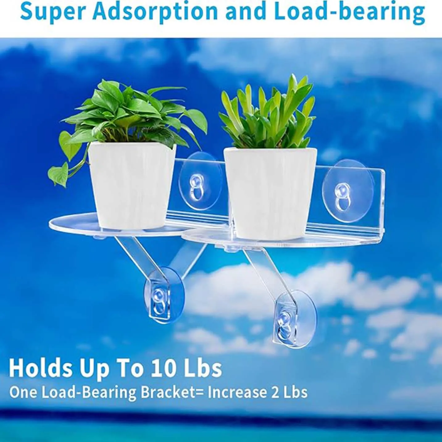 1/2Pcs Acrylic Window Plant Shelves With Suction Cups & Brackets For Store Indoor Plants Kitchen Spices Display Photos And Toys