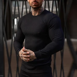 Autumn Running T-shirts Mens Classic Ribbed Knit Jumper Sports Long Sleeved Slim Fit Round Neck Casual Gym Fitness T Shirt