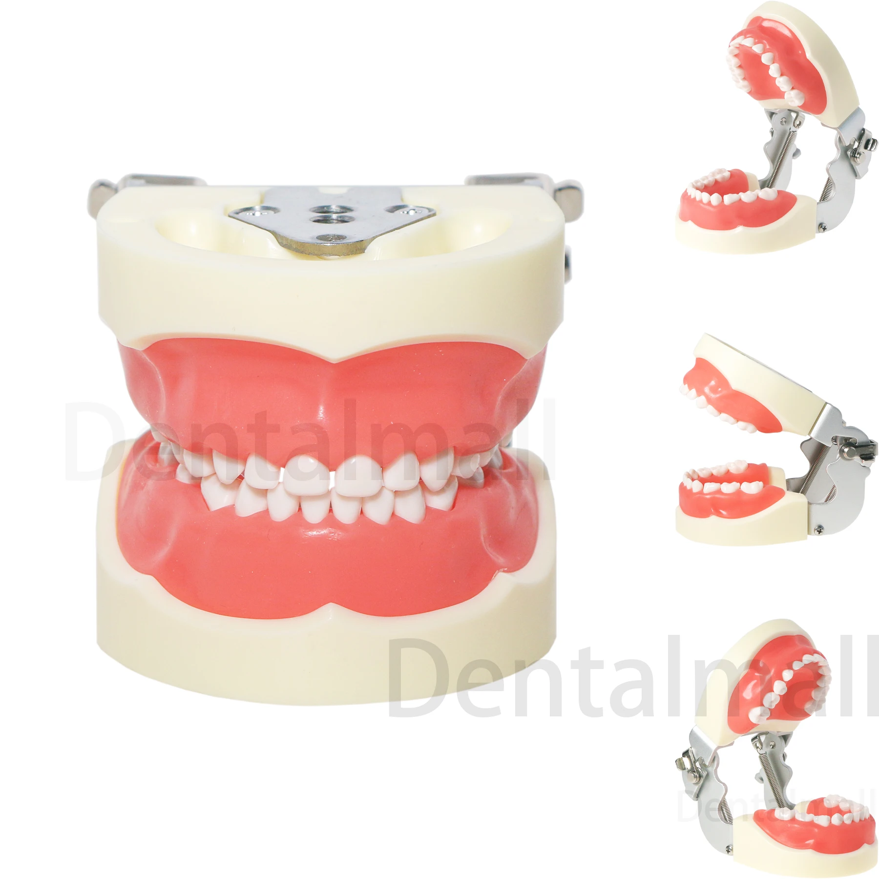 Dental Standard Child Teeth Model Typodont Child Soft Gum Removable Pediatric Dentisit Practice