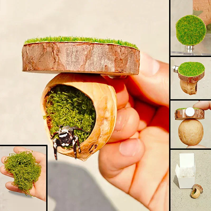 Mini Magnetic Spide…