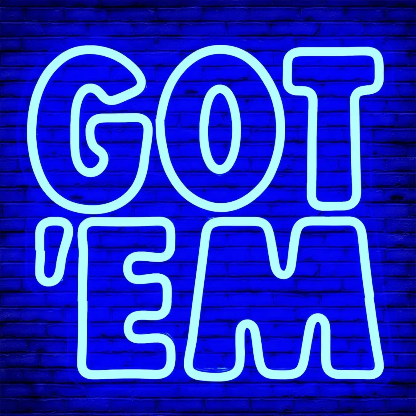 

GOT EM Phrase Neon Light Sign LED Home Decor USB Dimmable Neon Sign Cool Blue Glow for Gaming Room Man Cave Bar Wall Decor