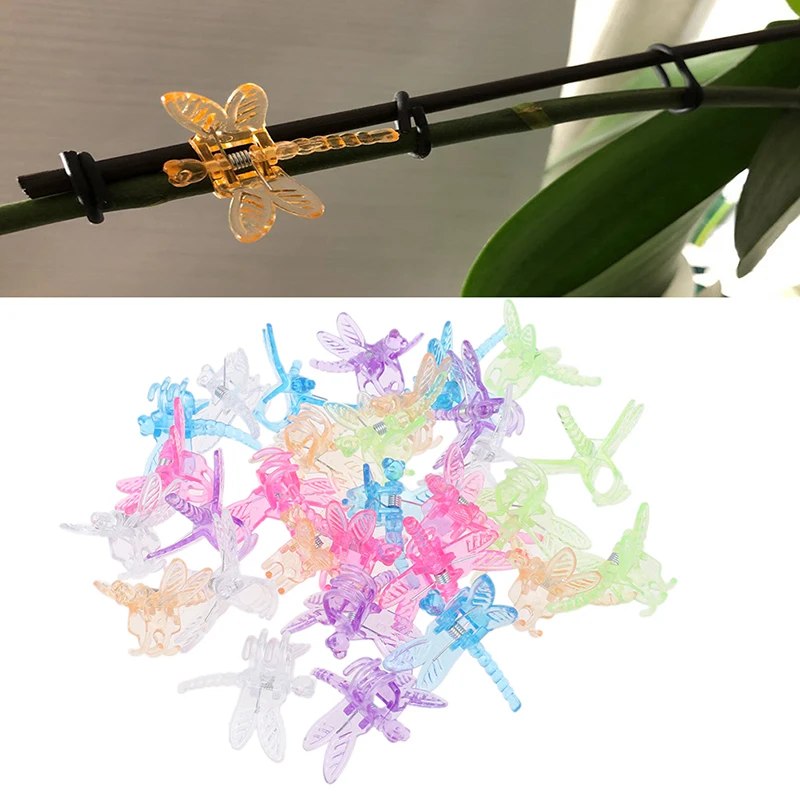 30pcs/bag Dragonfly Orchid Clips Orchid Grower Support Garden Plant Plastic Vine Fixation Clamp Color Mixing