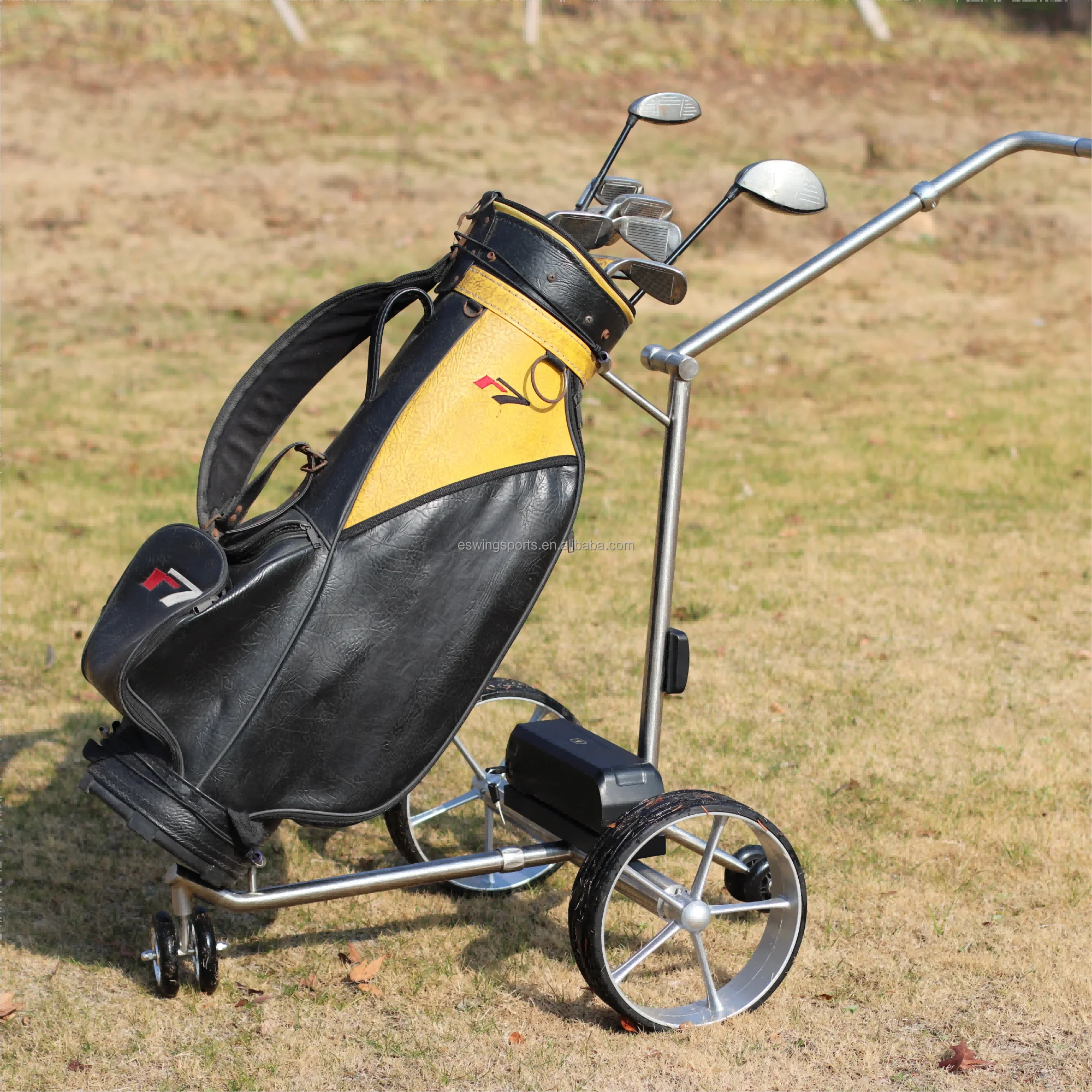 

2024 Trend-Setting for ES-T1 Large Battery Electric Push Cart for Golf Stainless Steel Remote Control 100kg Load 54-Hole