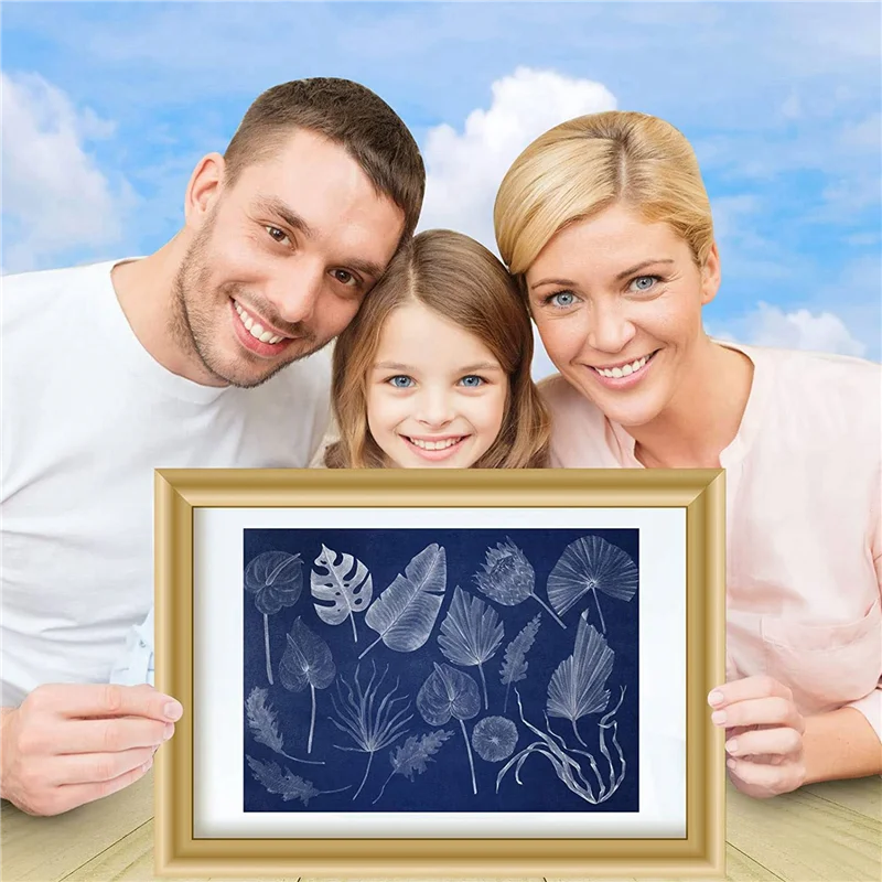 Qy-100 ورقة طقم ورق بصمة الشمس ورق أزرق أبيض ورق شمسي عالي الحساسية ورق طباعة الشمس DIY (A4/8.27X11.69 بوصة)