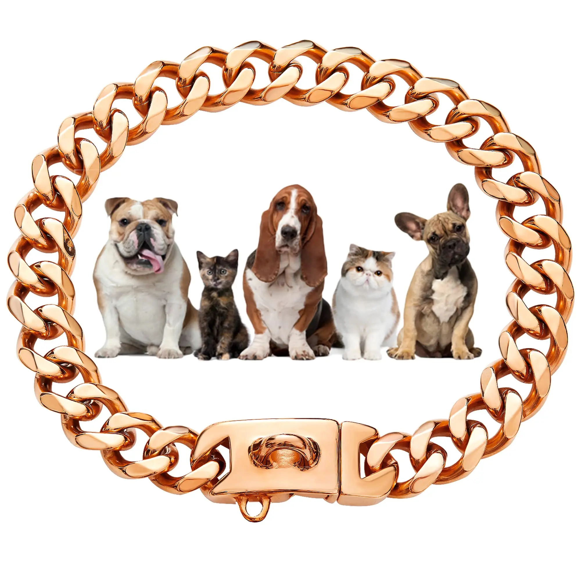 

19MM Stainless Steel Gold Dog Chain Collar with Safety Buckle Lock Chew Proof Pet Chains Collars for Large Dog