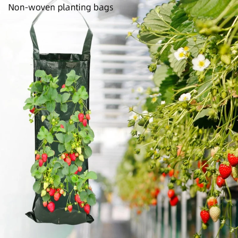 

Hanging Strawberry Planter Vertical Garden Grow Bag Vegetable Cultivation Bags for Balcony Durable Outdoor Indoor Tools