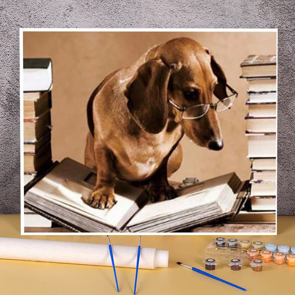 

Animal Dachshund DIY Painting By Numbers Kit Acrylic Paints 40*50 Canvas Pictures New Design For Wholesale