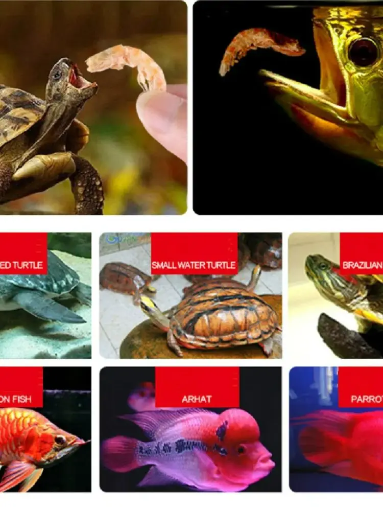 Tropical Cichlid Turtle Flowerhorn Carnivorous Fish Food, Freeze Dried Shrimp, Antarctic Krill 3L