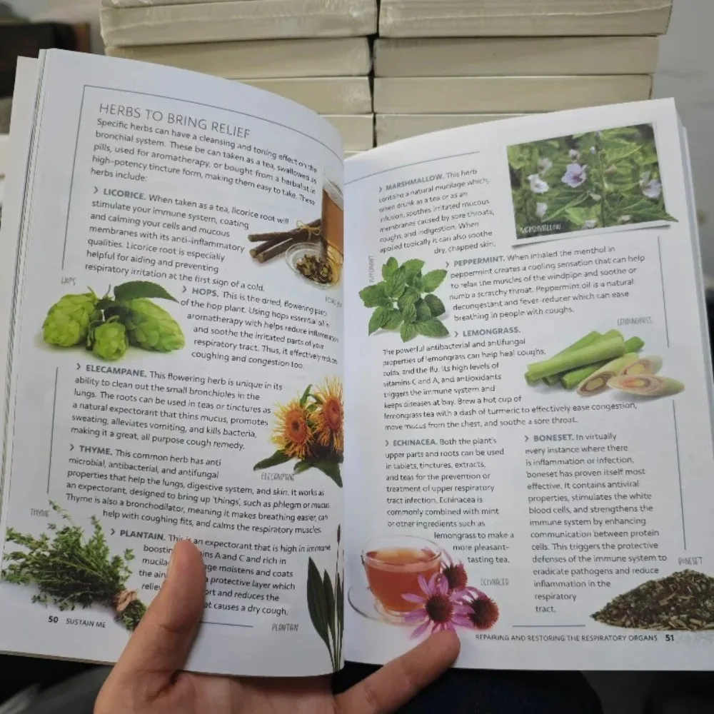 2026Sustain Me The 9 Foundational Pillars for Health Guide Book A Handbook of Natural Remedies in English Paperback