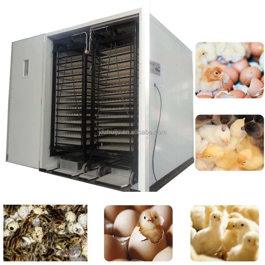 Fully Automatic Setting 12000 Chicken Egg Incubator Machine HJ-I21 view 6