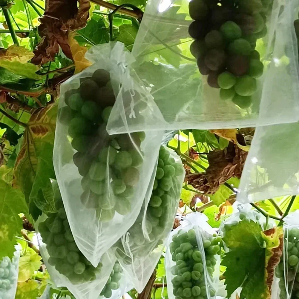 

100pcs Strawberry Grapes Fruit Grow Bags Netting Mesh Vegetable Plant Protection Bags For Pest Control Anti-Bird Garden Tools