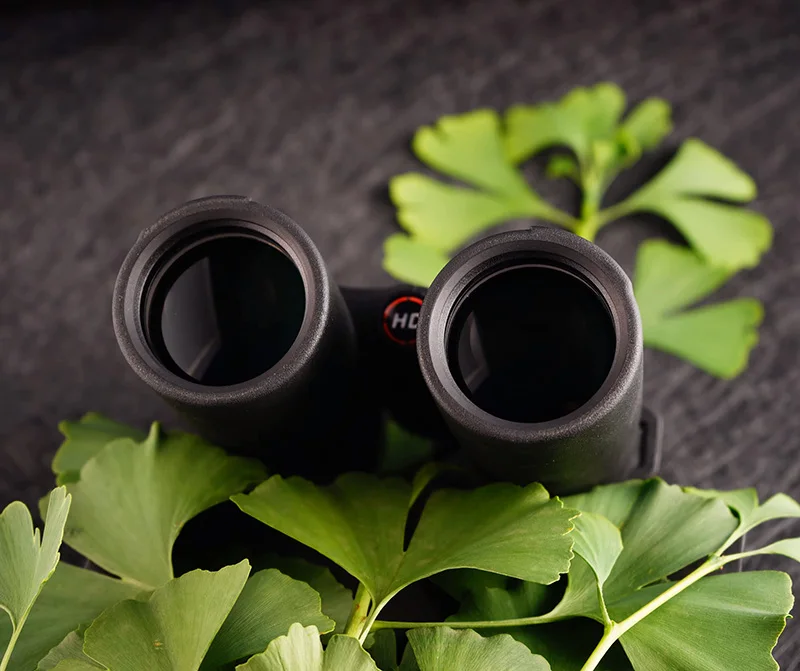 Binoculares oculares grandes transparentes 10x42, telescopio impermeable con prisma de Bak-4 para exteriores, para observación de aves, conciertos, Camping y viajes