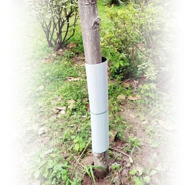 Baums chutz aus Kunststoff