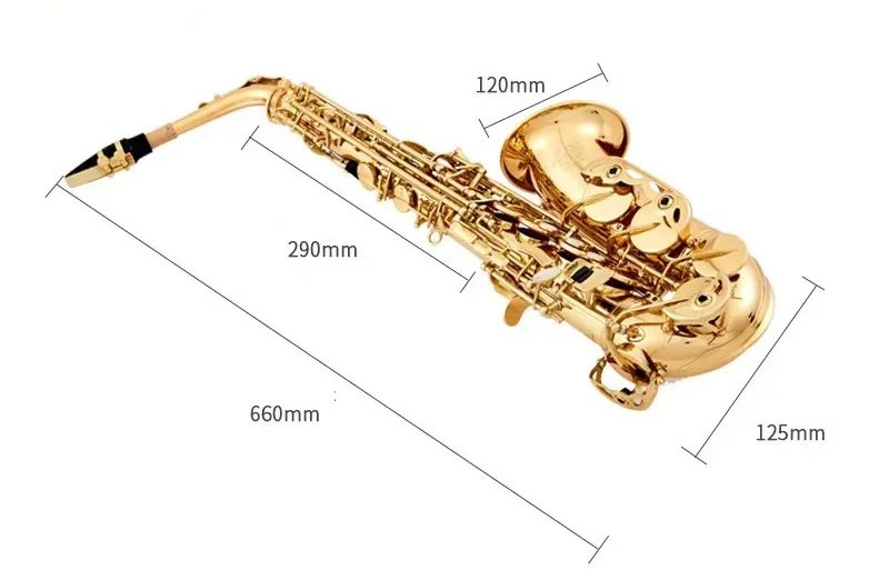 Beginner E Flat Saxophone Alto Gold Color Lacquered Elbow Saxophone