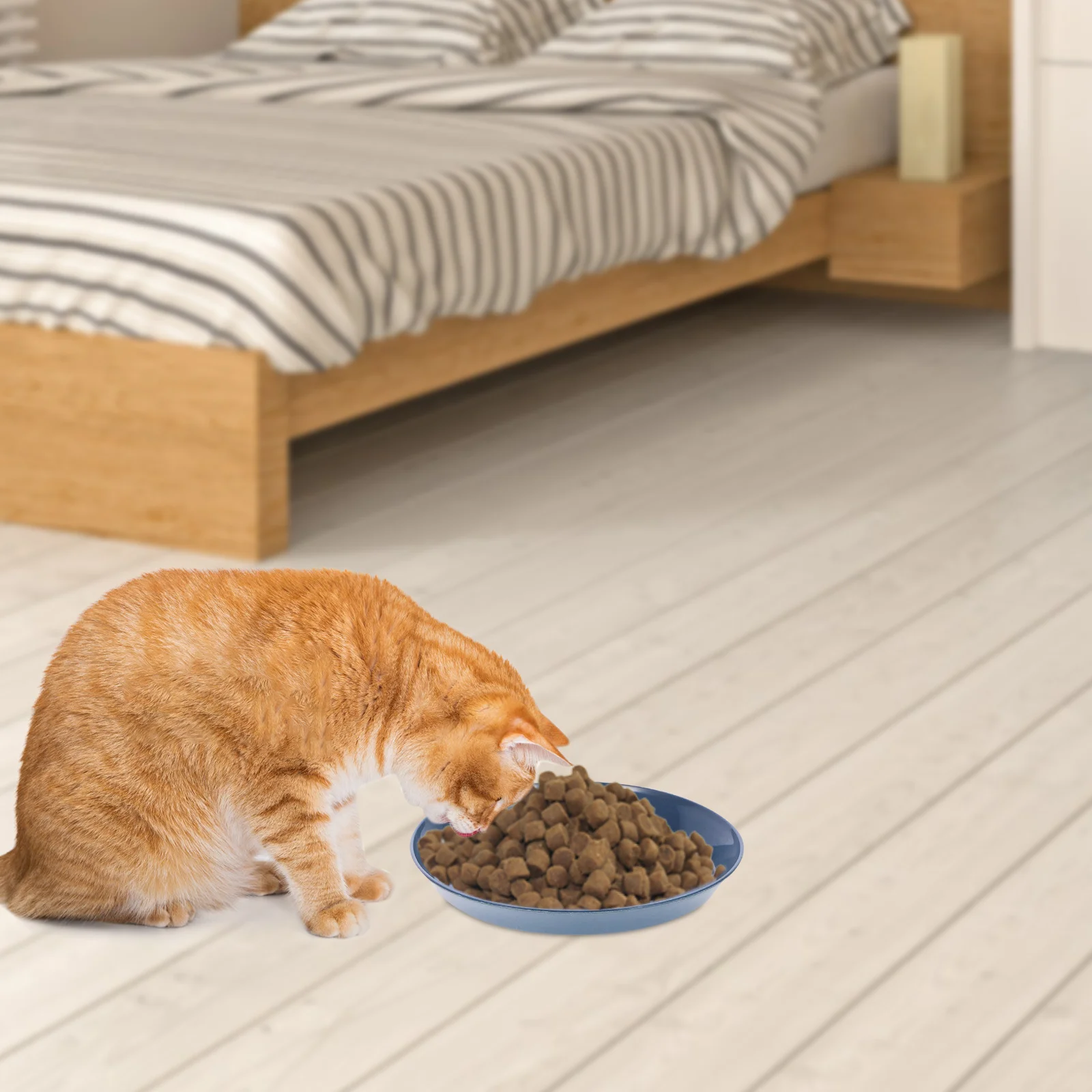 

8Pcs Shallow Cat Food Bowl Flat Bottom for Whisker Relief Small Lightweight Pet Plates Ideal Daily Use Cat Water Dish