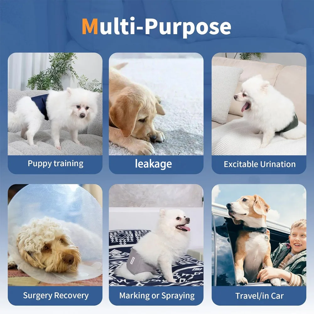 Thumbnail 4 - #19 Latest Dog Diapers Offers